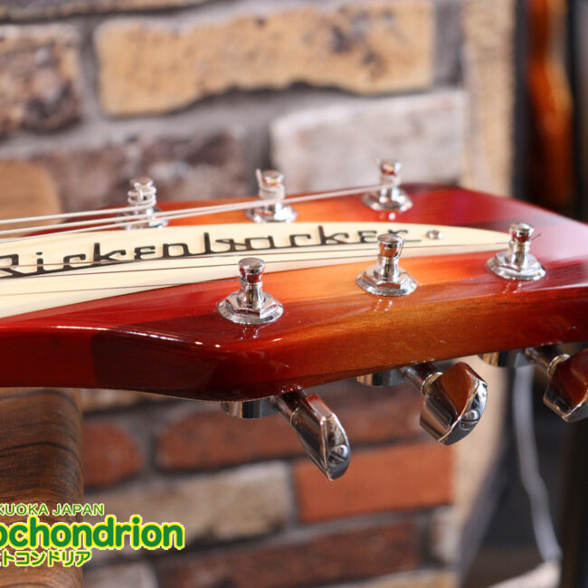 生産数の少ないダブルバインディング・ボディーの360！