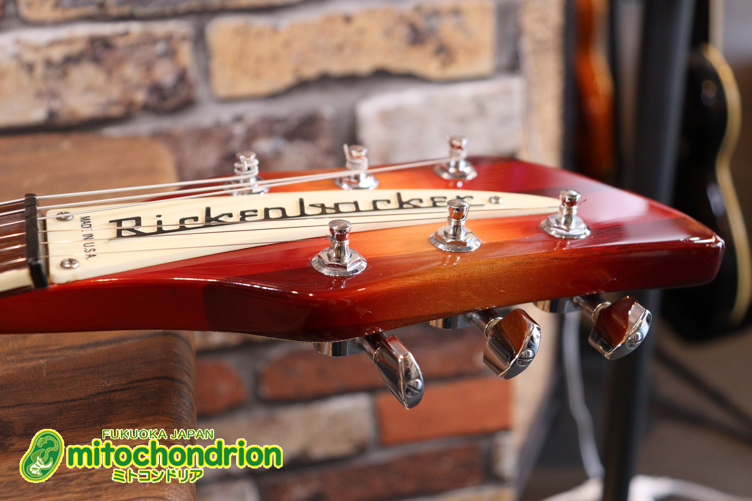 生産数の少ないダブルバインディング・ボディーの360！