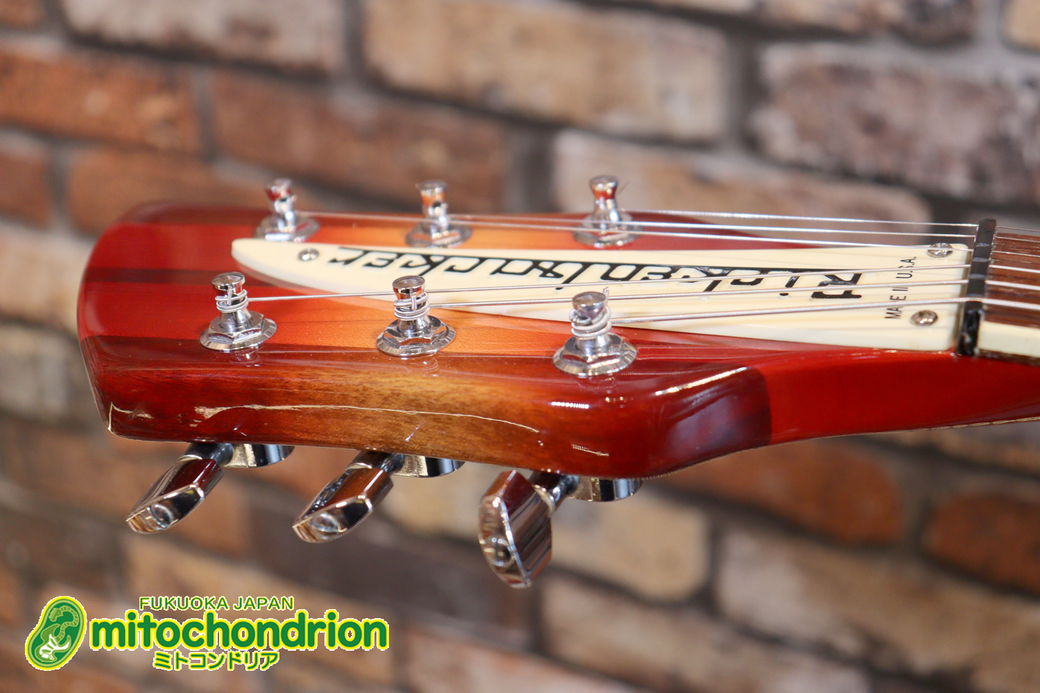 生産数の少ないダブルバインディング・ボディーの360！