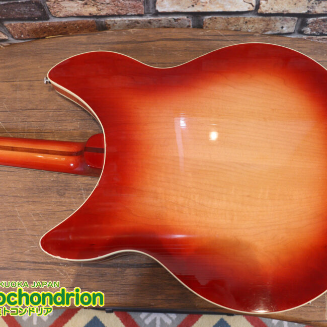 生産数の少ないダブルバインディング・ボディーの360！