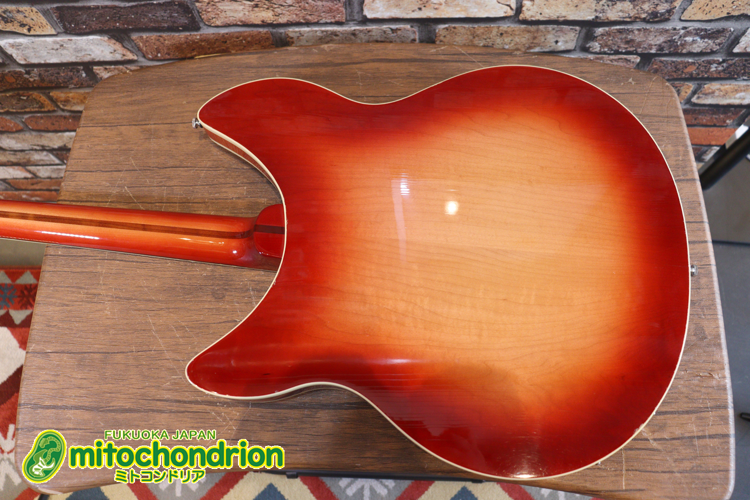 生産数の少ないダブルバインディング・ボディーの360！