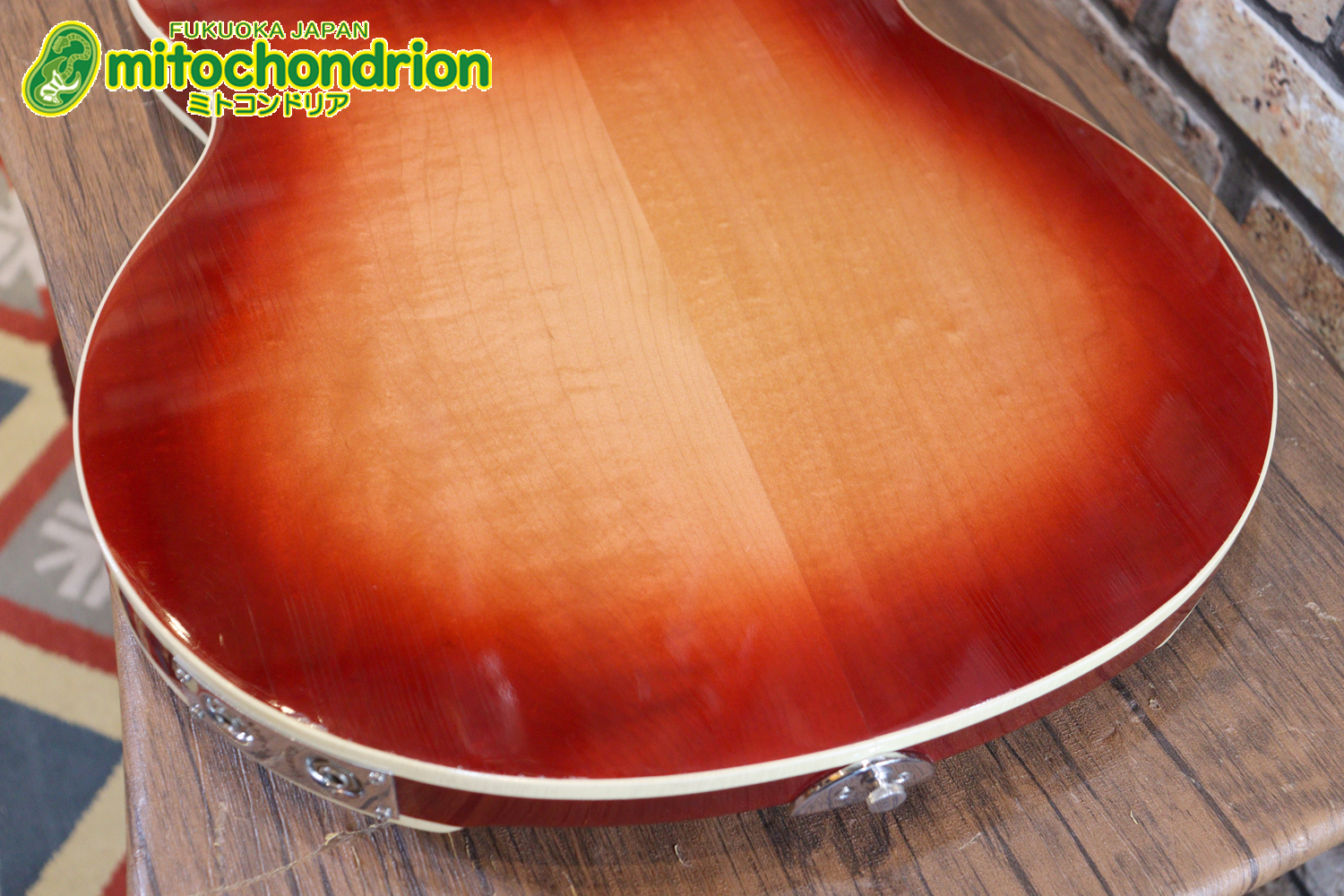 生産数の少ないダブルバインディング・ボディーの360！