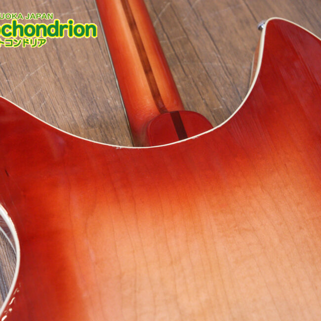 生産数の少ないダブルバインディング・ボディーの360！