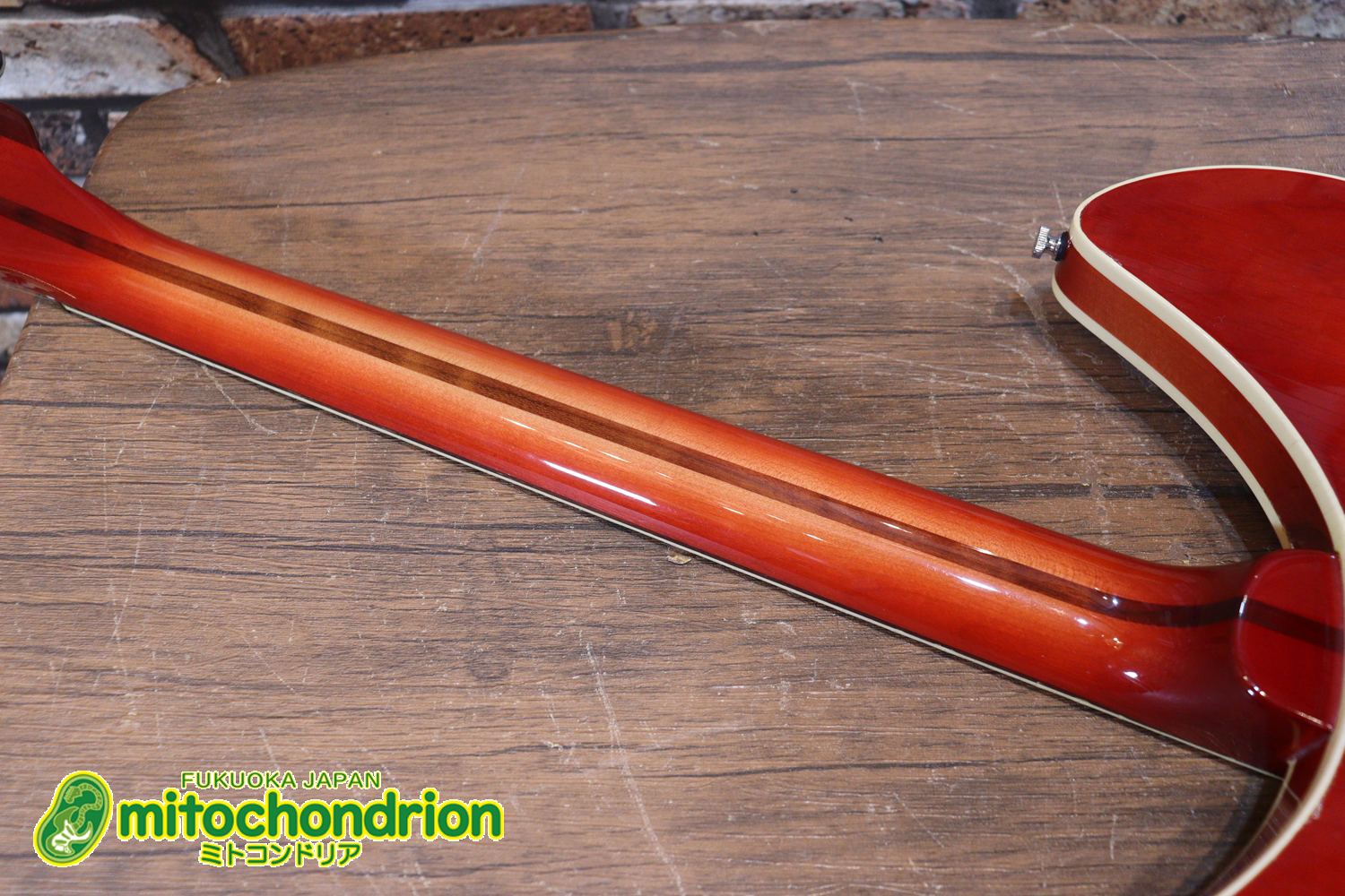 生産数の少ないダブルバインディング・ボディーの360！