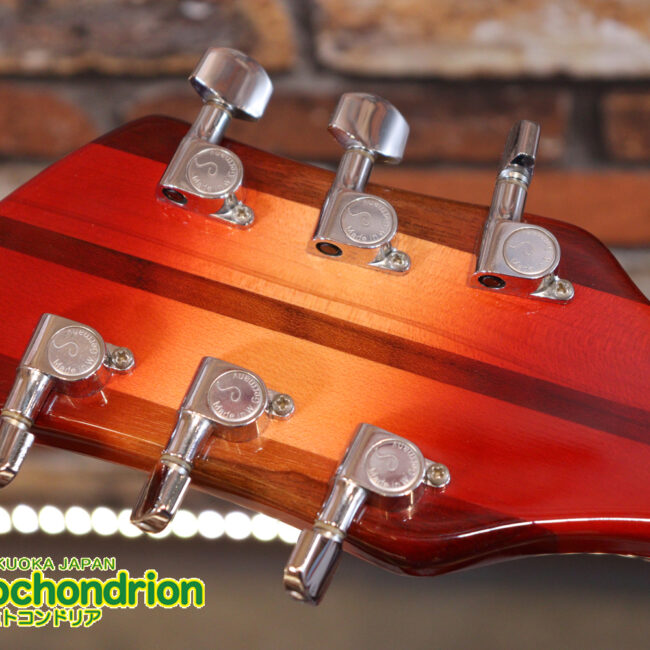 生産数の少ないダブルバインディング・ボディーの360！