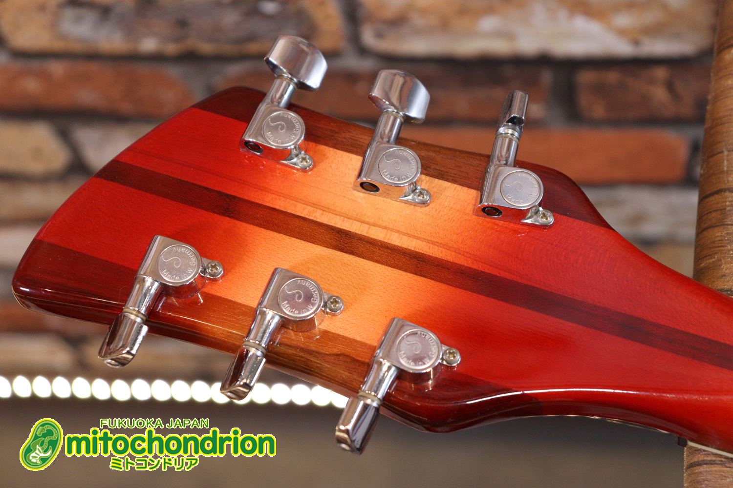 生産数の少ないダブルバインディング・ボディーの360！