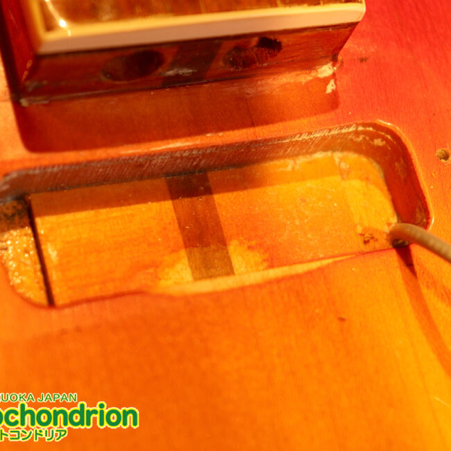 生産数の少ないダブルバインディング・ボディーの360！