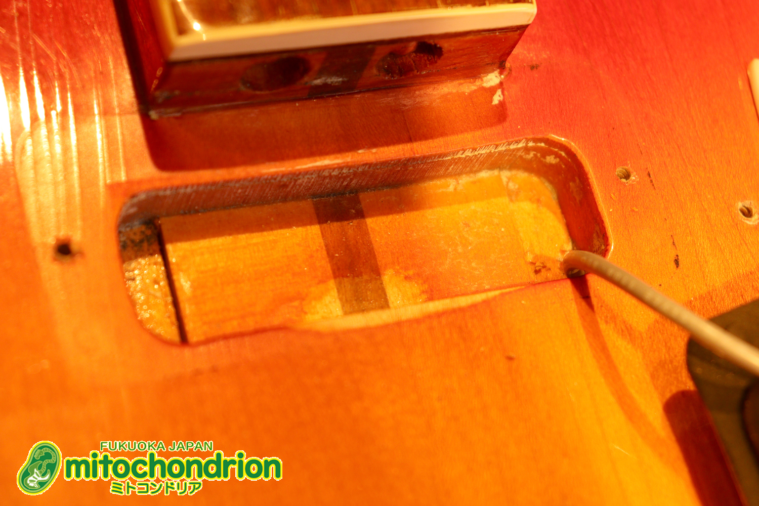 生産数の少ないダブルバインディング・ボディーの360！