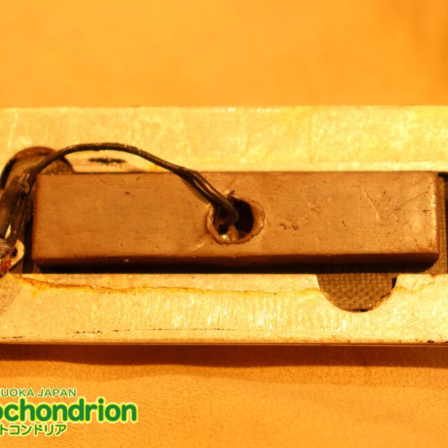 生産数の少ないダブルバインディング・ボディーの360！