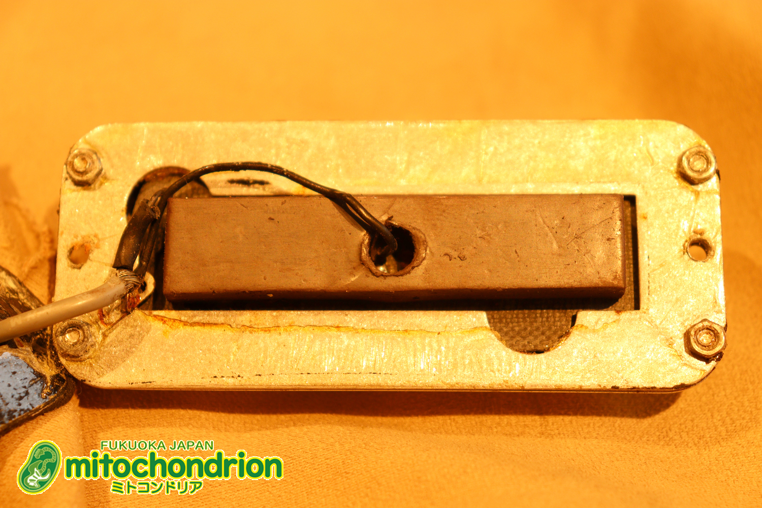 生産数の少ないダブルバインディング・ボディーの360！