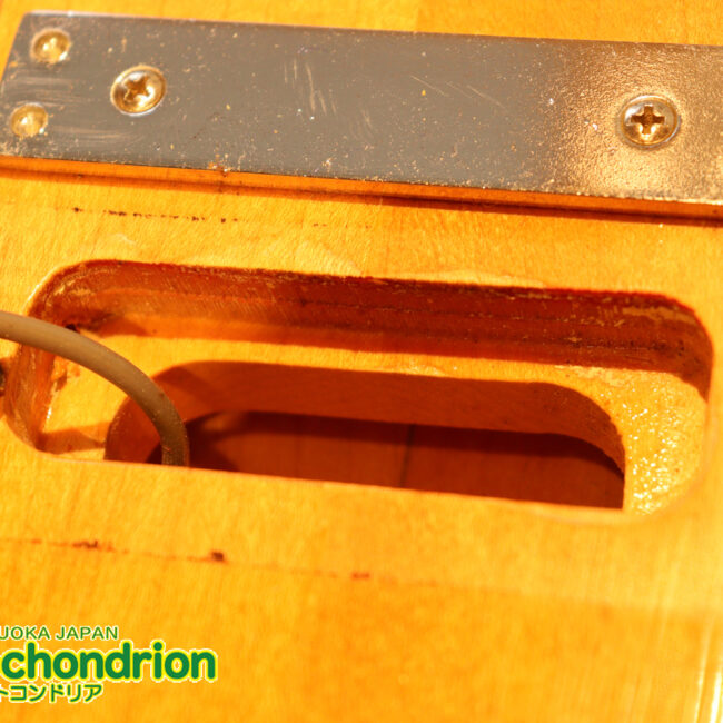 生産数の少ないダブルバインディング・ボディーの360！