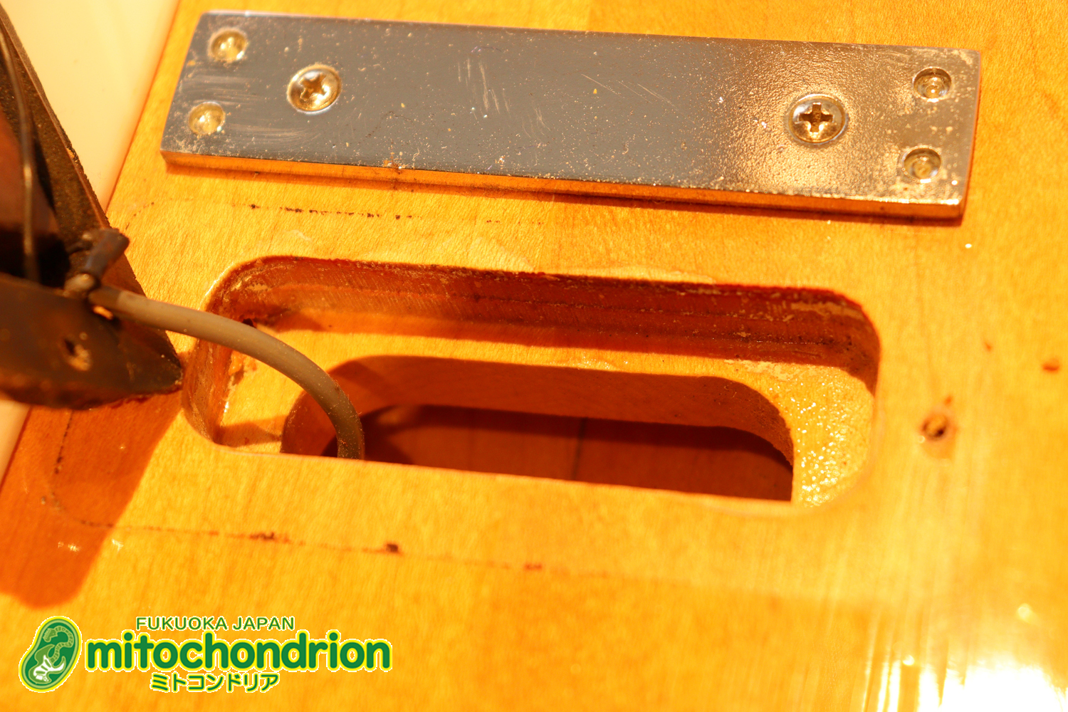 生産数の少ないダブルバインディング・ボディーの360！