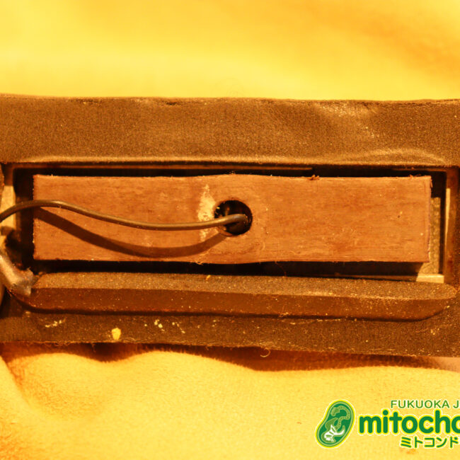 生産数の少ないダブルバインディング・ボディーの360！