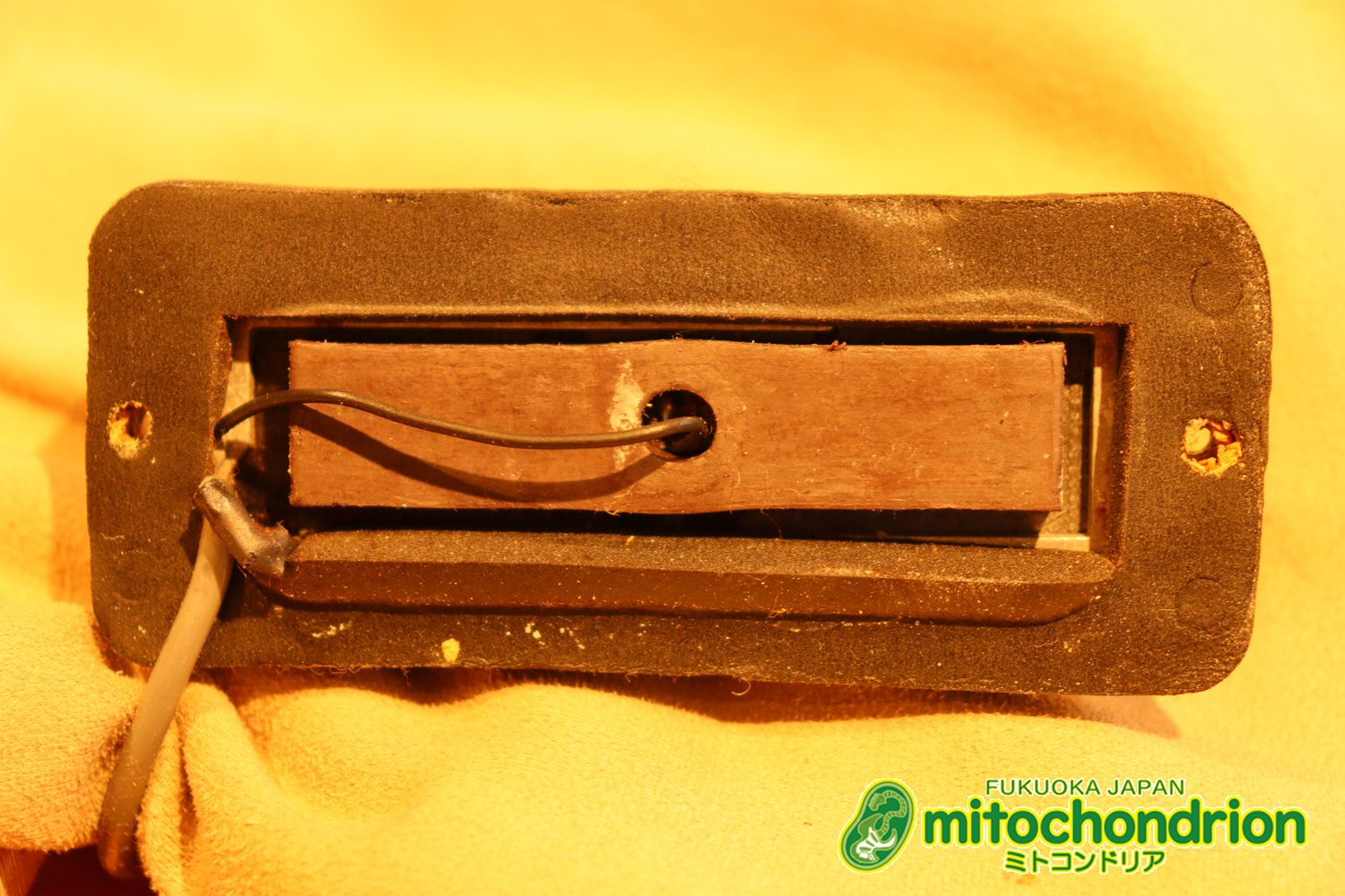 生産数の少ないダブルバインディング・ボディーの360！