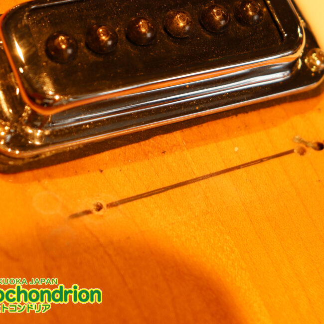 生産数の少ないダブルバインディング・ボディーの360！