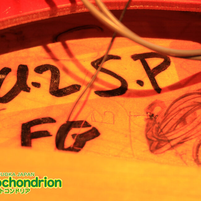 生産数の少ないダブルバインディング・ボディーの360！