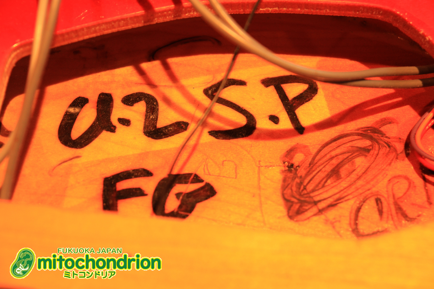 生産数の少ないダブルバインディング・ボディーの360！