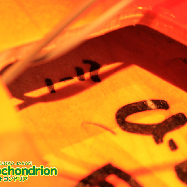 生産数の少ないダブルバインディング・ボディーの360！