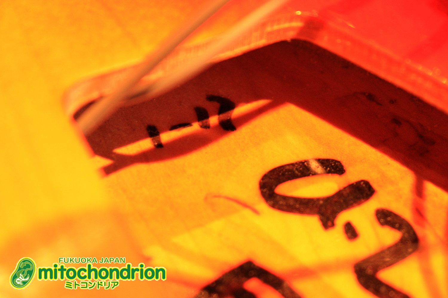 生産数の少ないダブルバインディング・ボディーの360！