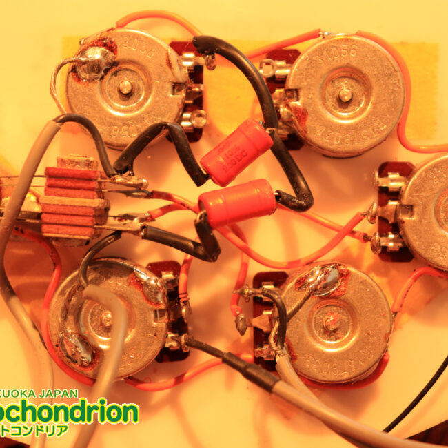 生産数の少ないダブルバインディング・ボディーの360！