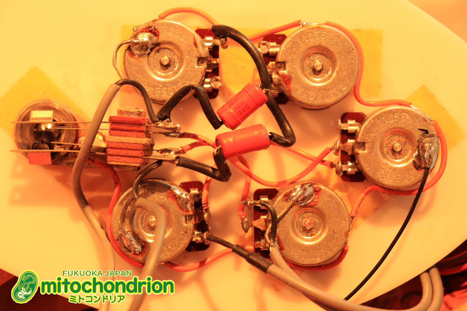 生産数の少ないダブルバインディング・ボディーの360！