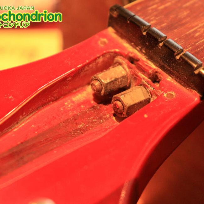 生産数の少ないダブルバインディング・ボディーの360！