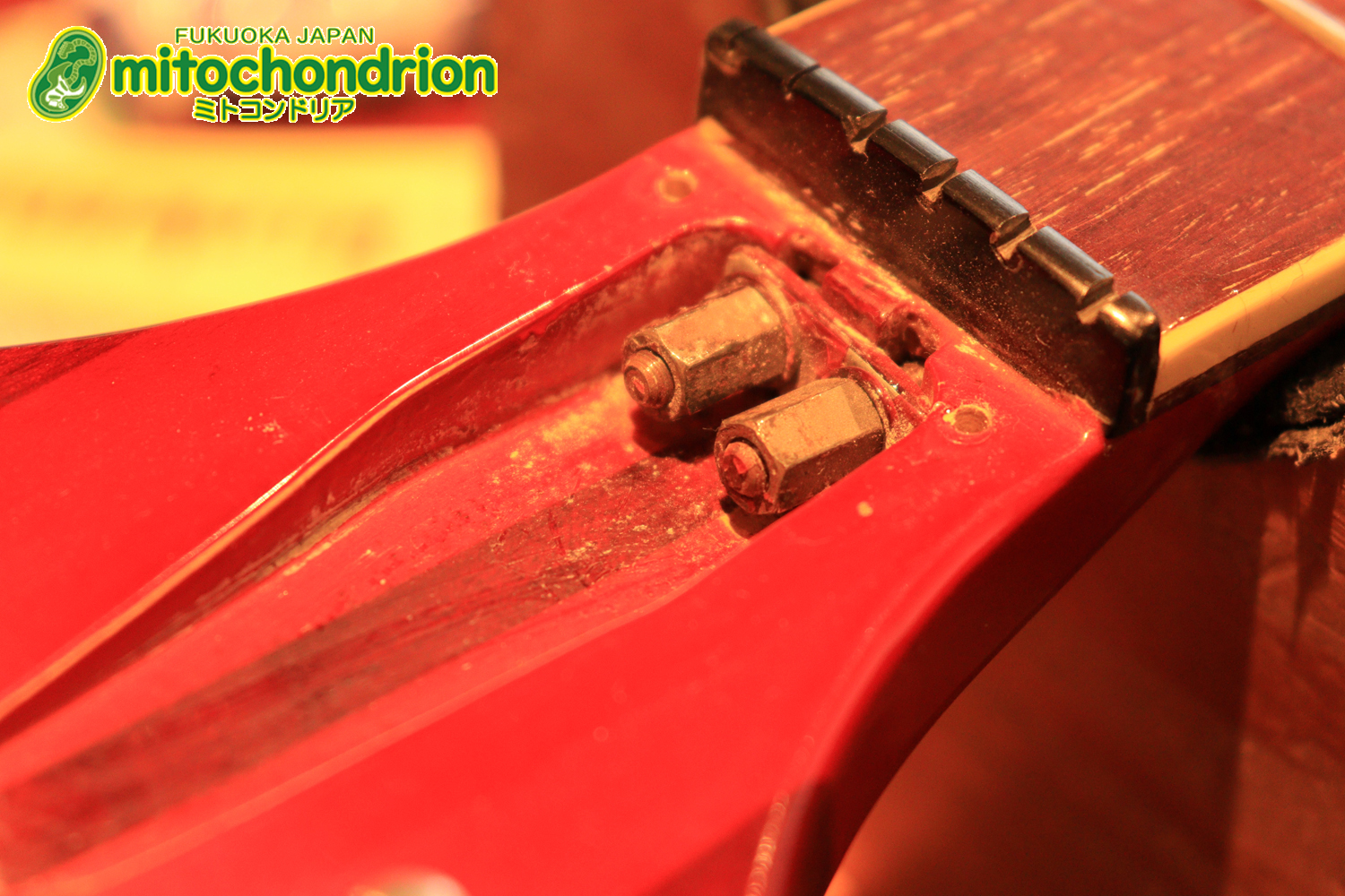 生産数の少ないダブルバインディング・ボディーの360！