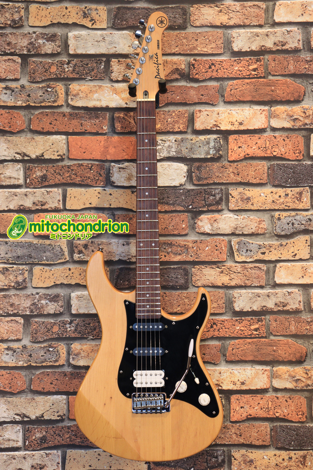 Suhrピックアップにウイルキンソン・ブリッジ、ヴィンテージのバンブルビーを搭載したパシフィカ！