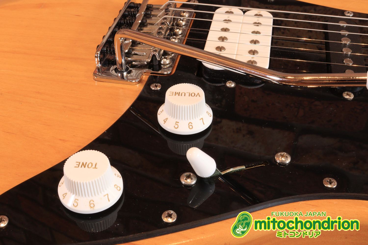 Suhrピックアップにウイルキンソン・ブリッジ、ヴィンテージのバンブルビーを搭載したパシフィカ！