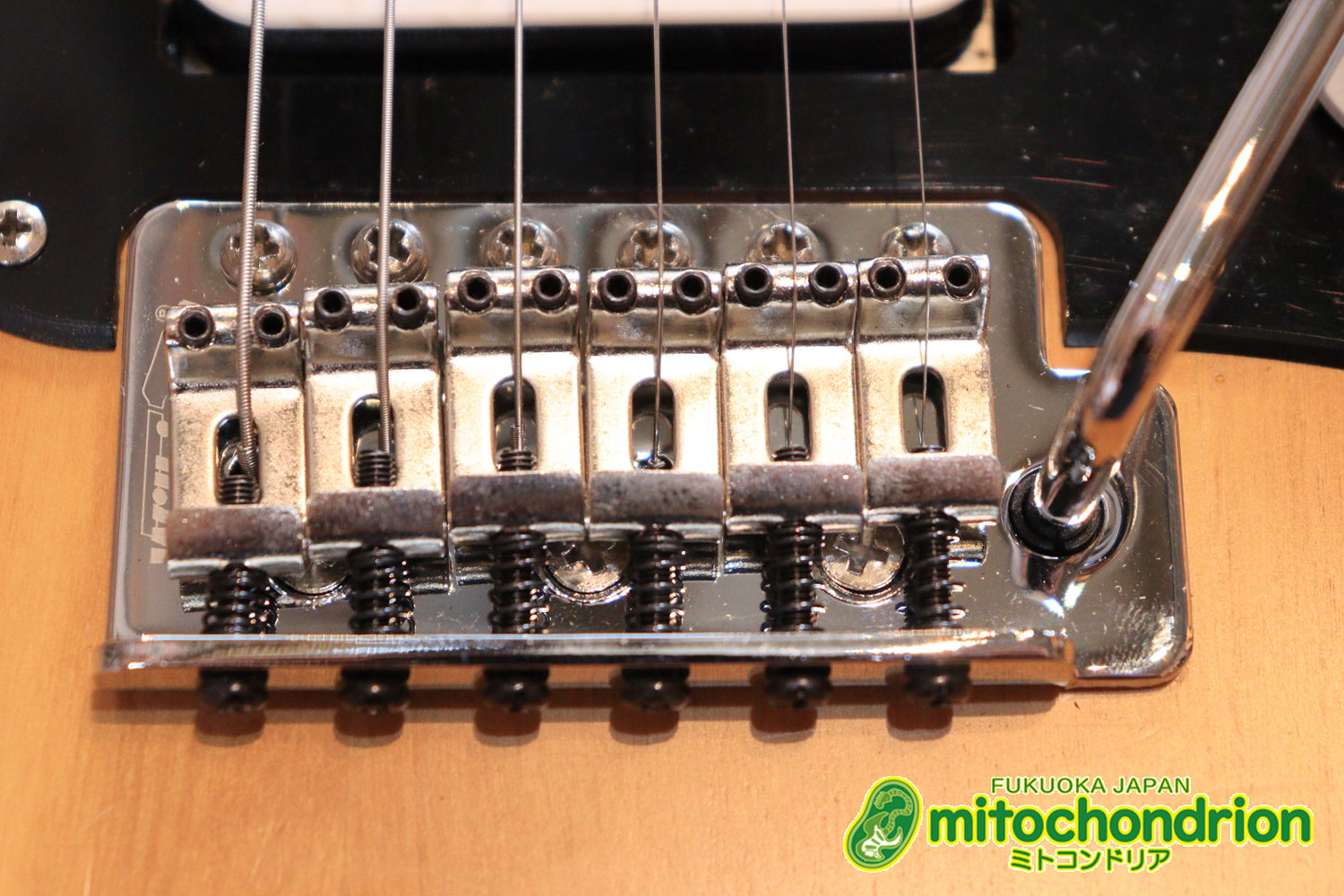 Suhrピックアップにウイルキンソン・ブリッジ、ヴィンテージのバンブルビーを搭載したパシフィカ！