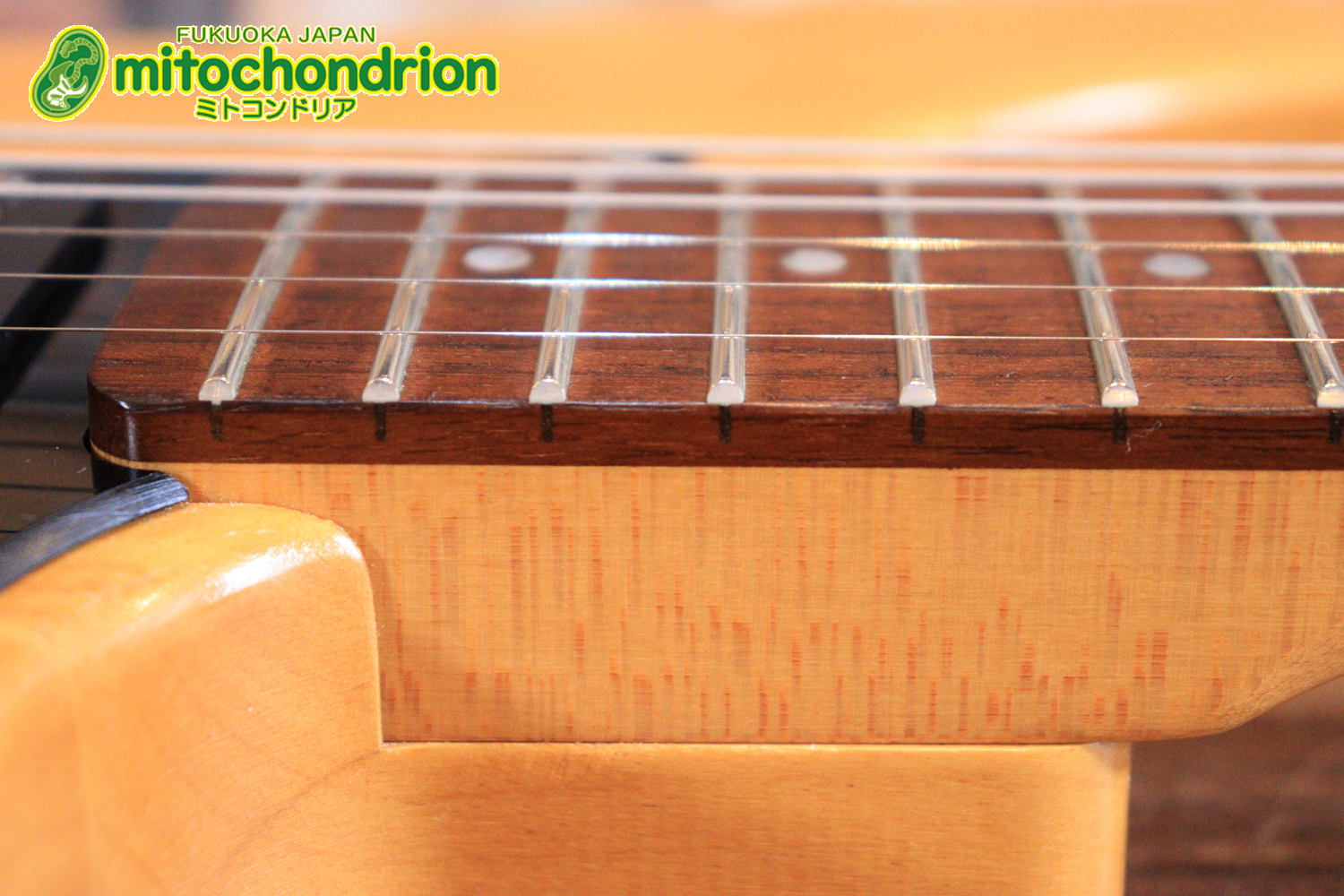 Suhrピックアップにウイルキンソン・ブリッジ、ヴィンテージのバンブルビーを搭載したパシフィカ！