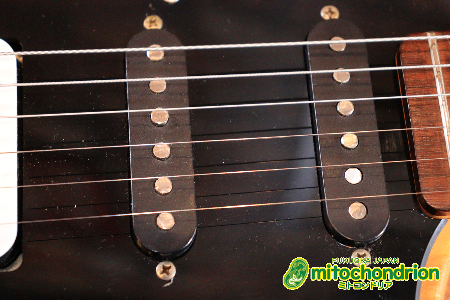 Suhrピックアップにウイルキンソン・ブリッジ、ヴィンテージのバンブルビーを搭載したパシフィカ！