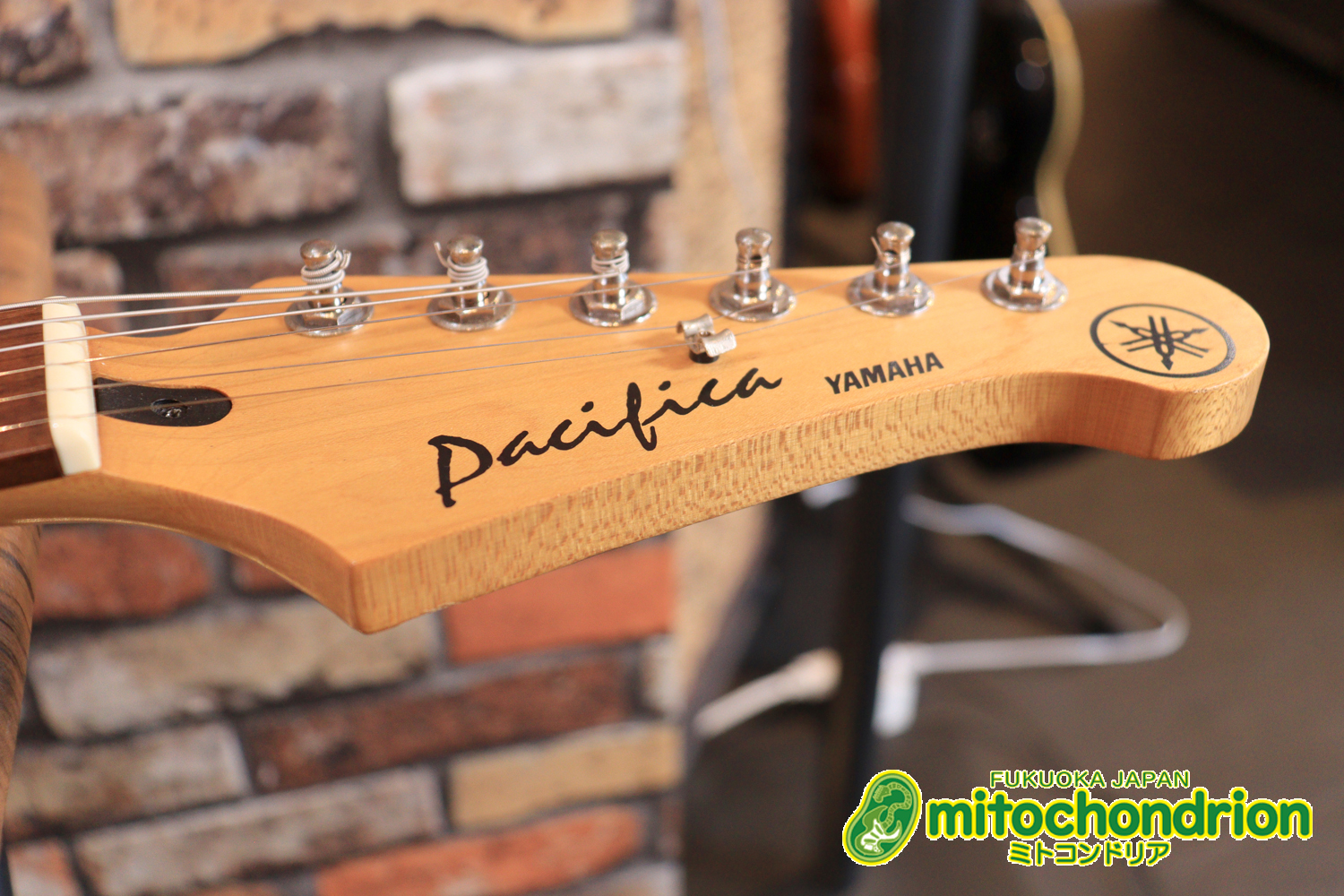 Suhrピックアップにウイルキンソン・ブリッジ、ヴィンテージのバンブルビーを搭載したパシフィカ！