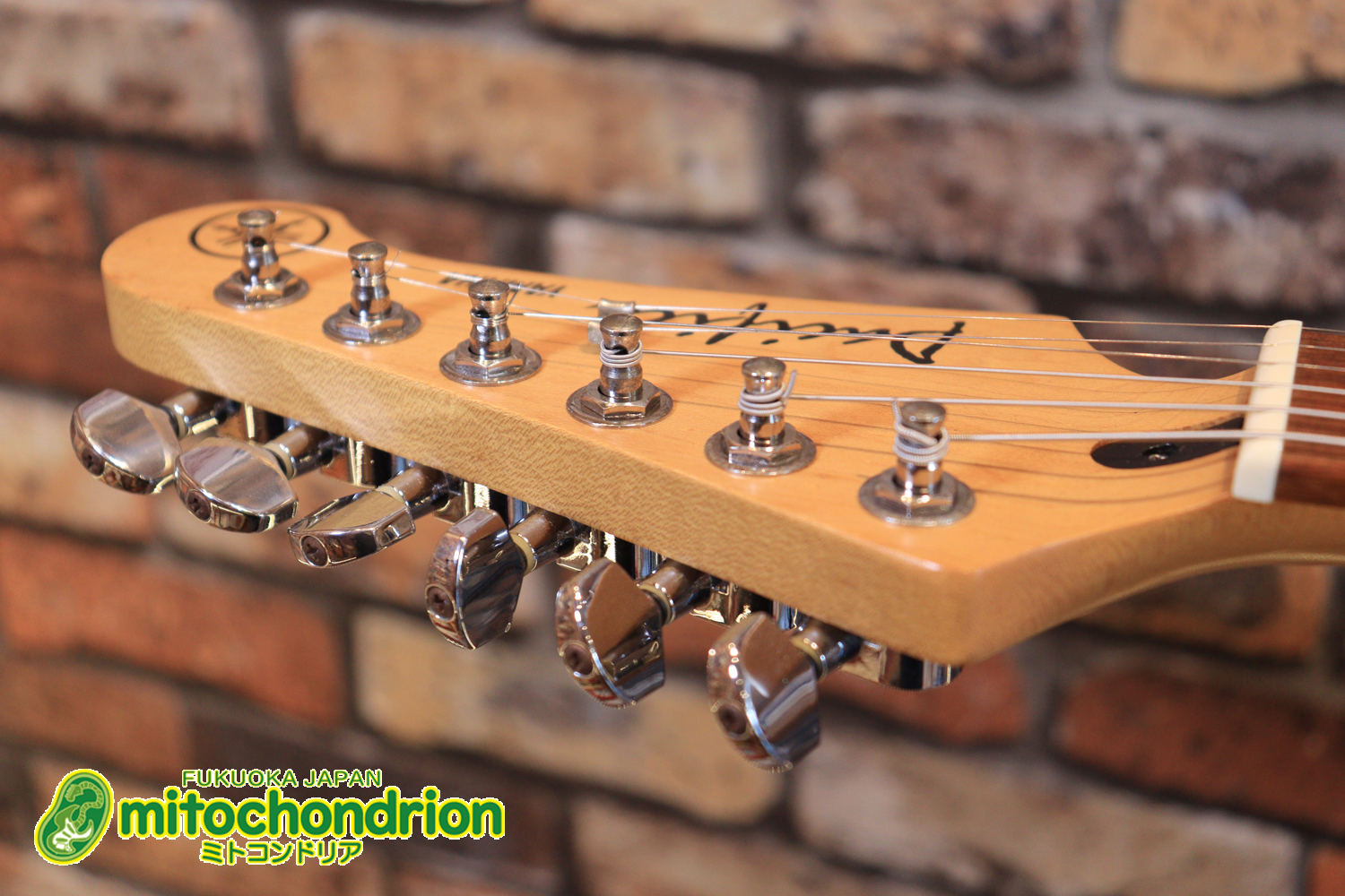 Suhrピックアップにウイルキンソン・ブリッジ、ヴィンテージのバンブルビーを搭載したパシフィカ！