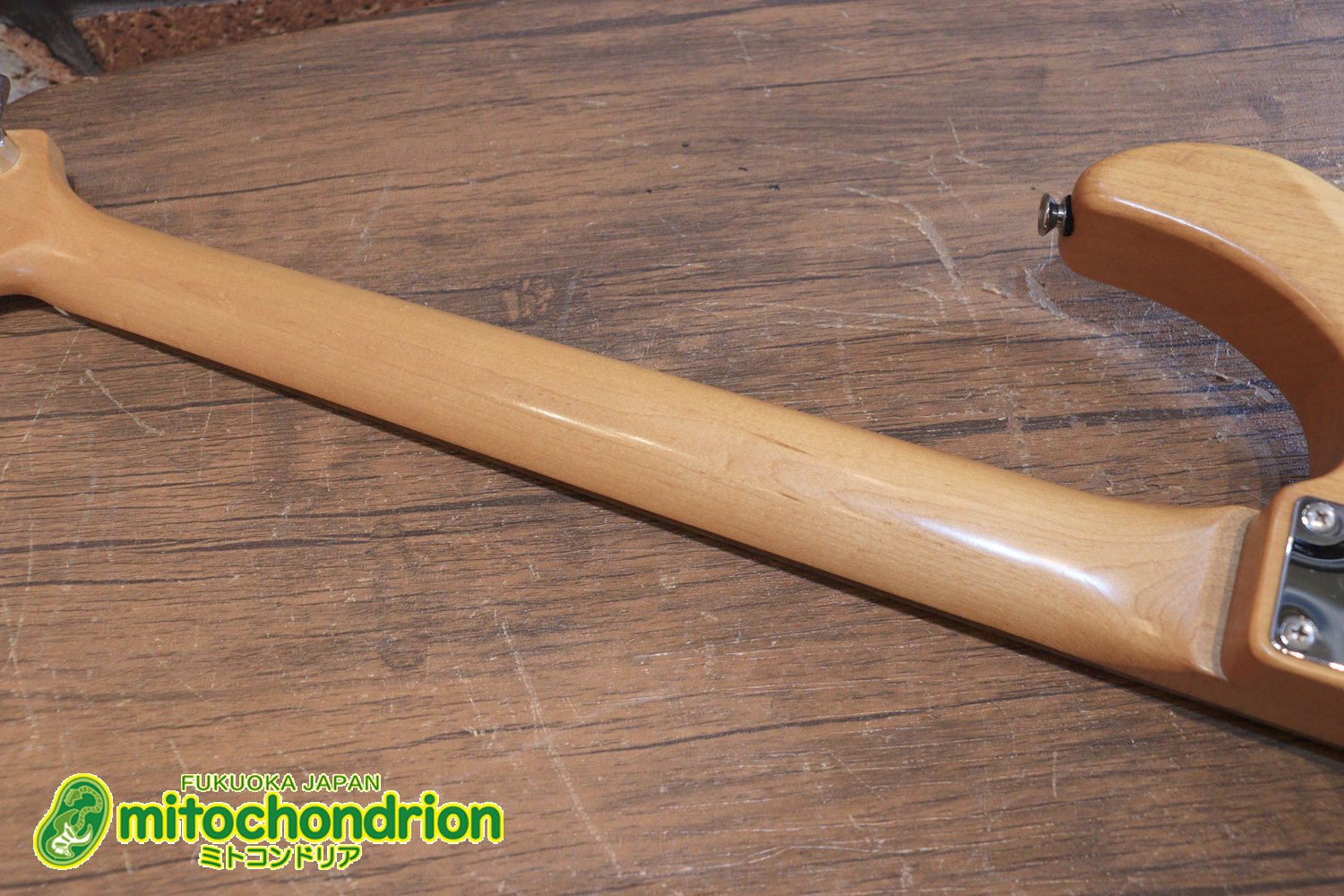 Suhrピックアップにウイルキンソン・ブリッジ、ヴィンテージのバンブルビーを搭載したパシフィカ！