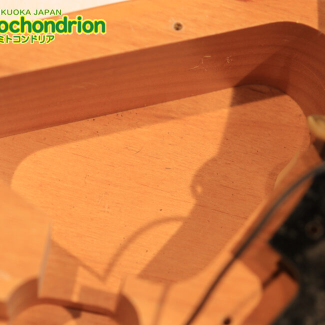 Suhrピックアップにウイルキンソン・ブリッジ、ヴィンテージのバンブルビーを搭載したパシフィカ！