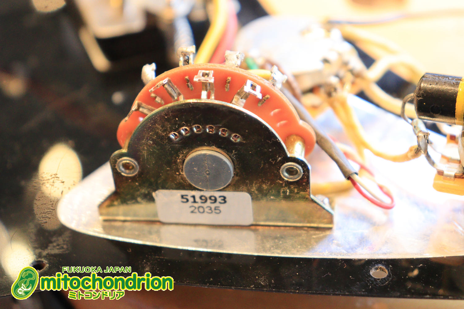 Suhrピックアップにウイルキンソン・ブリッジ、ヴィンテージのバンブルビーを搭載したパシフィカ！