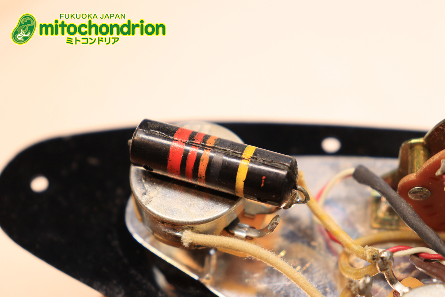 Suhrピックアップにウイルキンソン・ブリッジ、ヴィンテージのバンブルビーを搭載したパシフィカ！