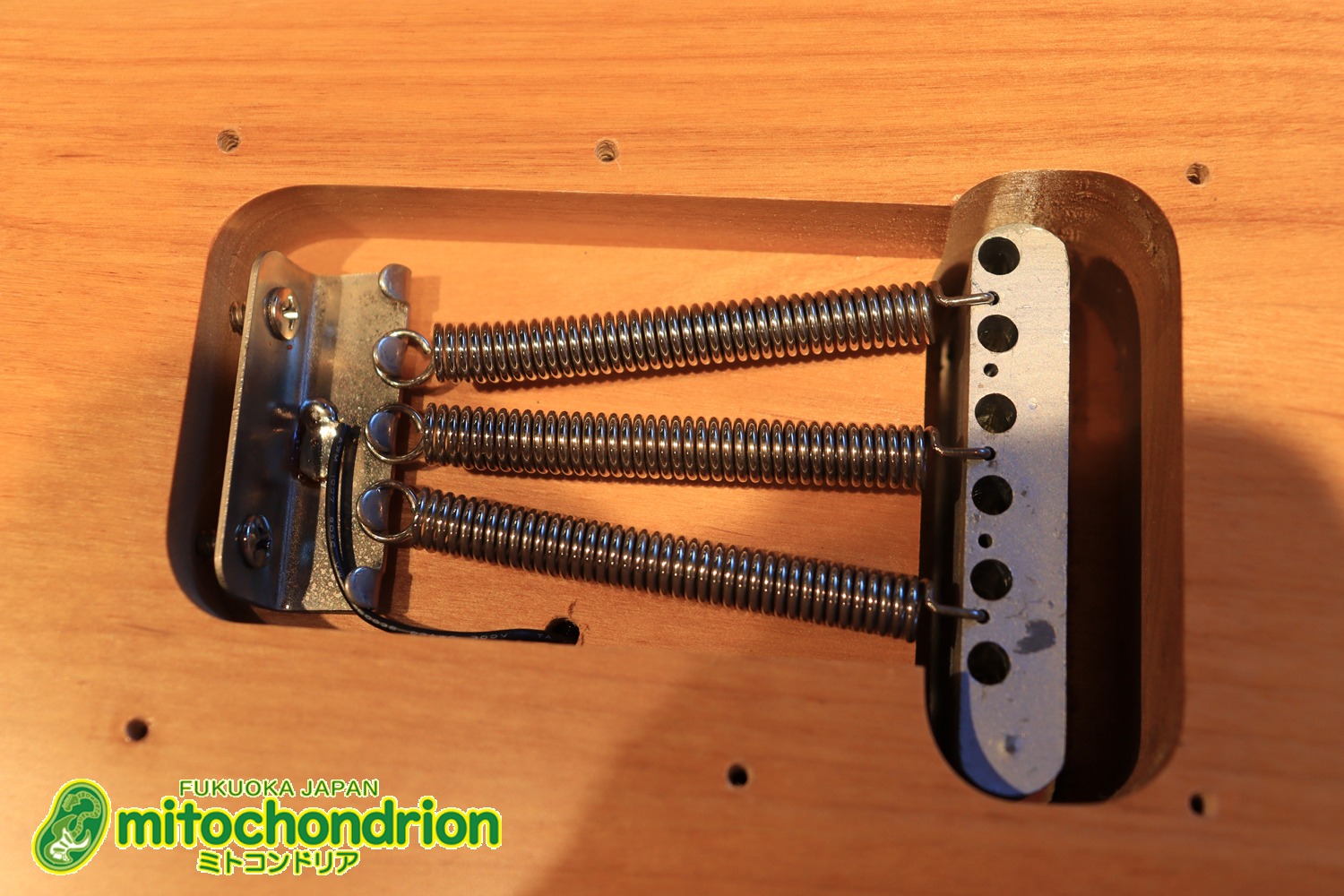 Suhrピックアップにウイルキンソン・ブリッジ、ヴィンテージのバンブルビーを搭載したパシフィカ！