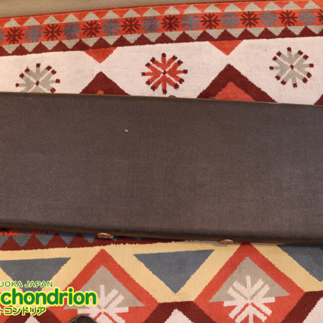 ロゴが取れてしまっていますが、1970年代中期のハードケースです！