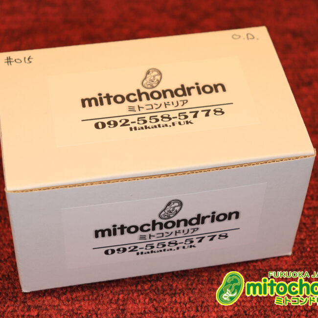 mitochondrionがお届けする、店長お気に入りエフェクターのレプリカシリーズ第1弾です！#015