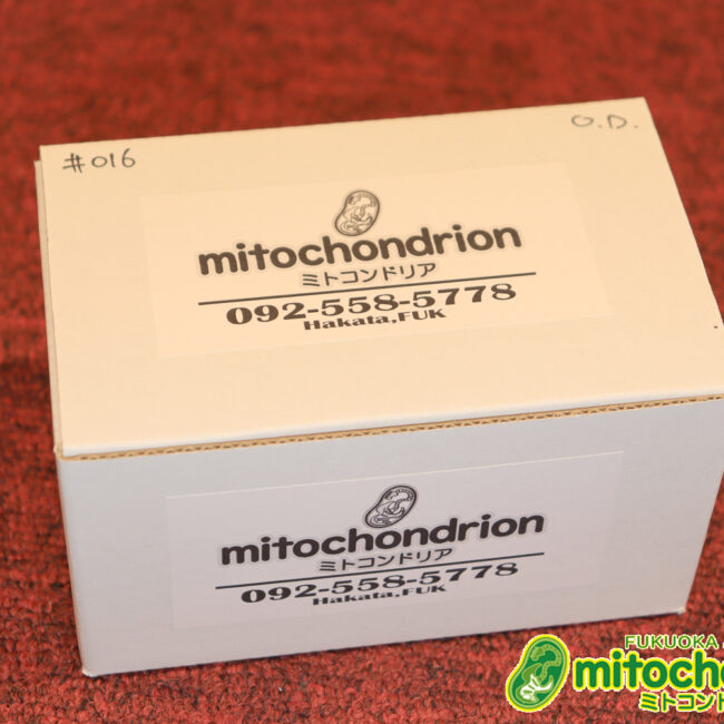 mitochondrionがお届けする、店長お気に入りエフェクターのレプリカシリーズ第1弾です！#016