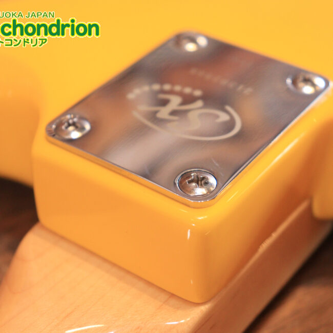 これからギターを始めたい方にもお勧め！バーニングファイヤー！