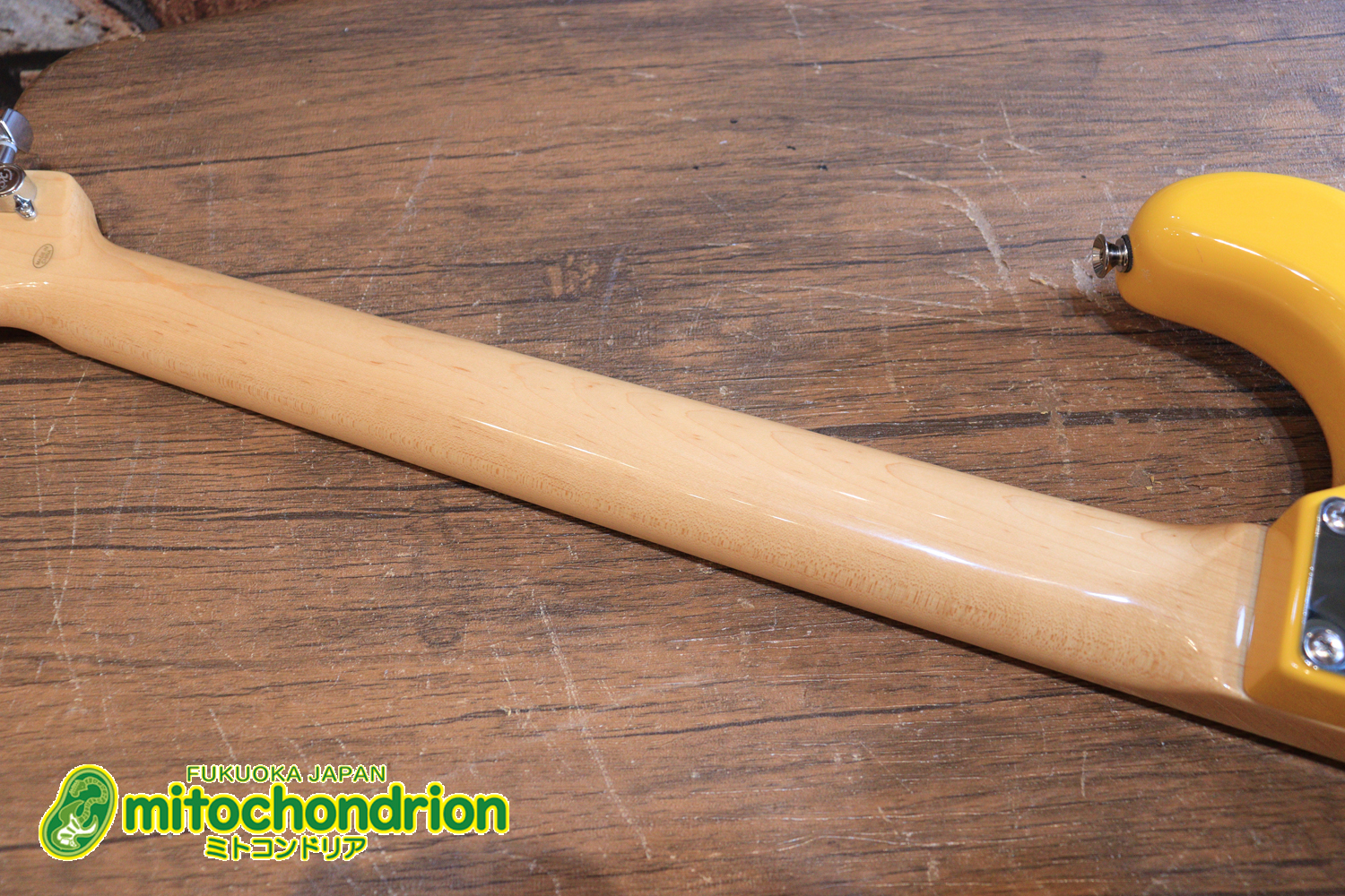 これからギターを始めたい方にもお勧め！バーニングファイヤー！