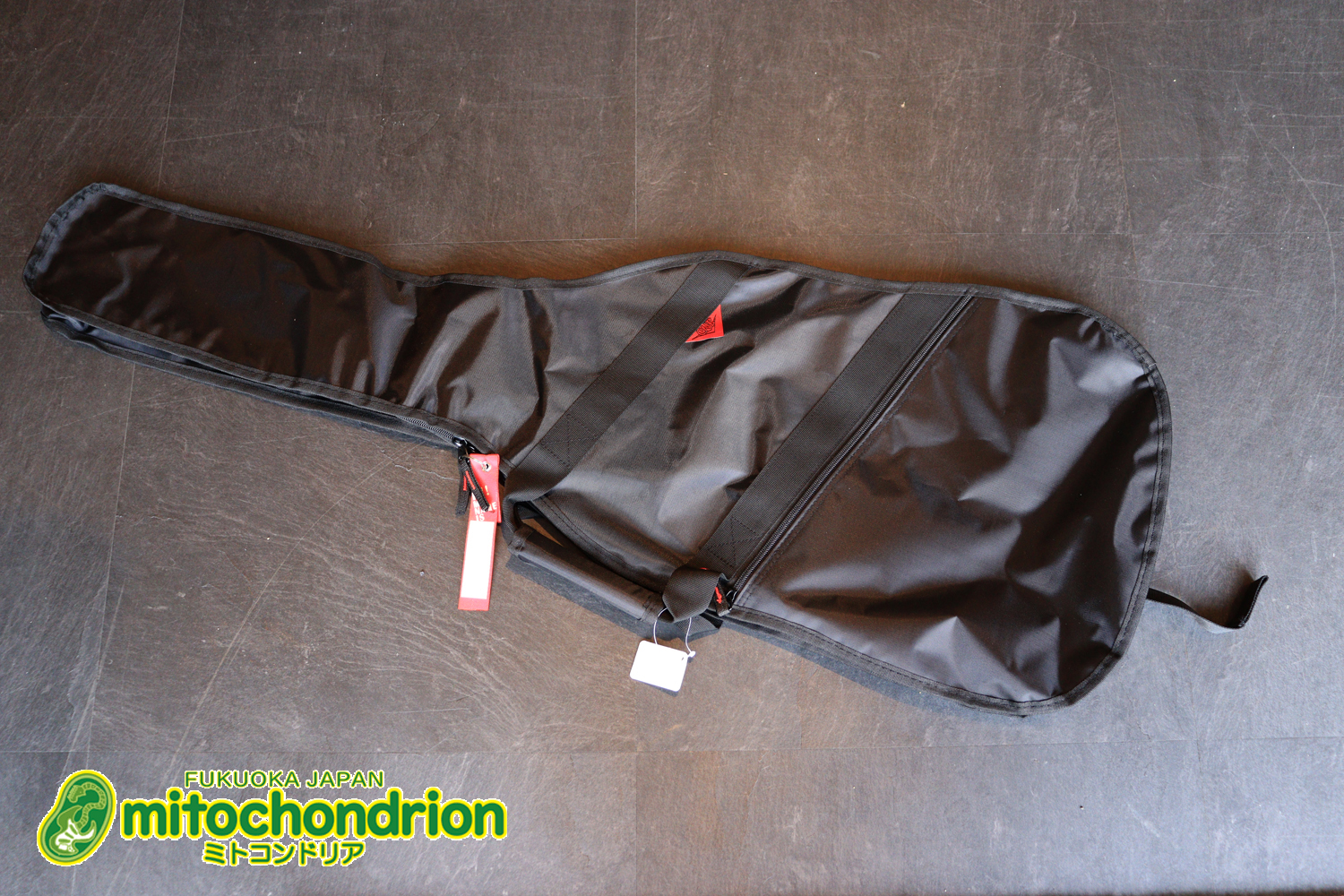 これからギターを始めたい方にもお勧め！バーニングファイヤー！