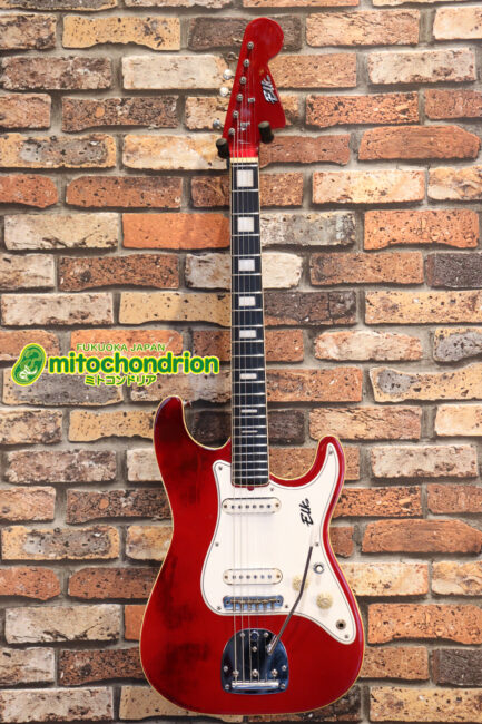 マッチングヘッドのエルク、ワイルドキャットです！