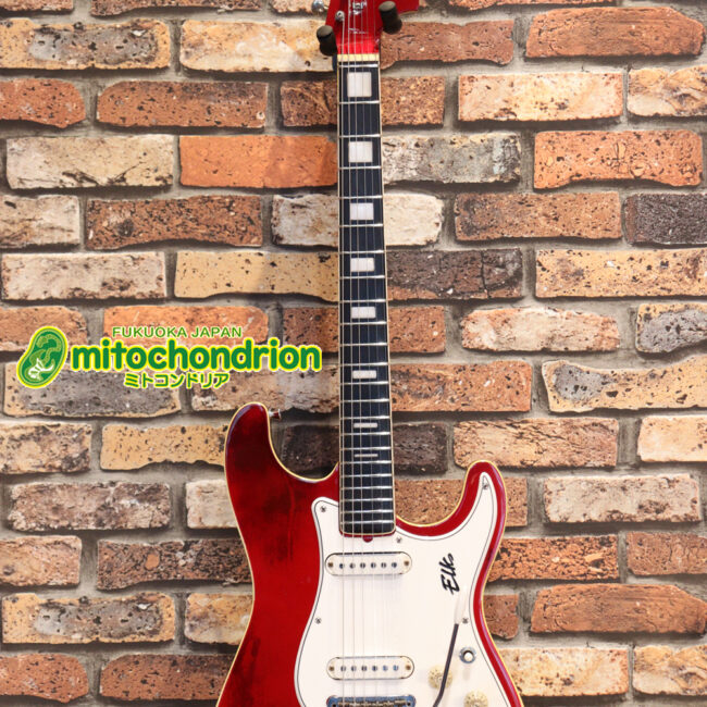 マッチングヘッドのエルク、ワイルドキャットです！