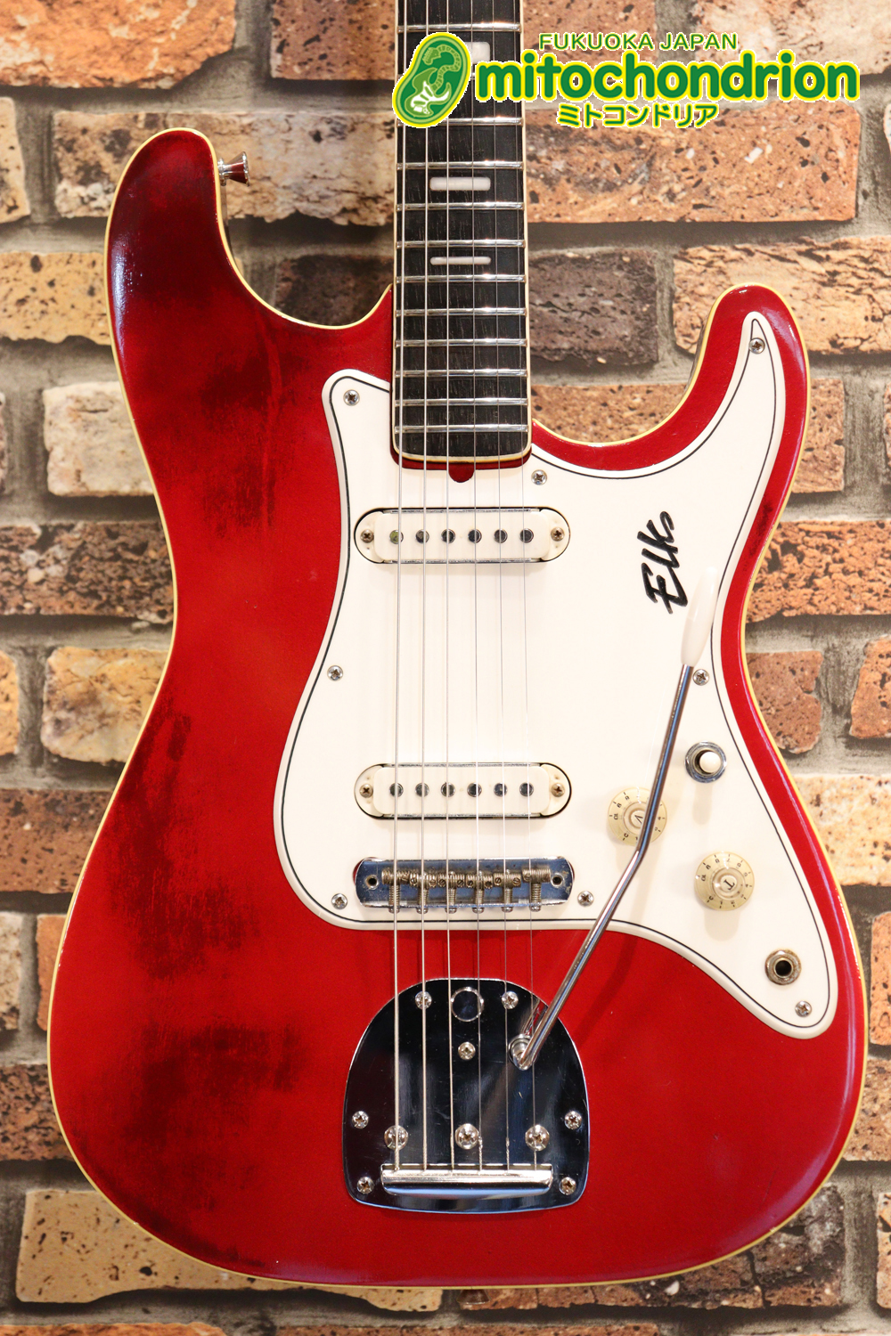 マッチングヘッドのエルク、ワイルドキャットです！