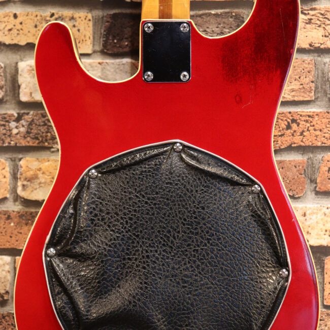 マッチングヘッドのエルク、ワイルドキャットです！