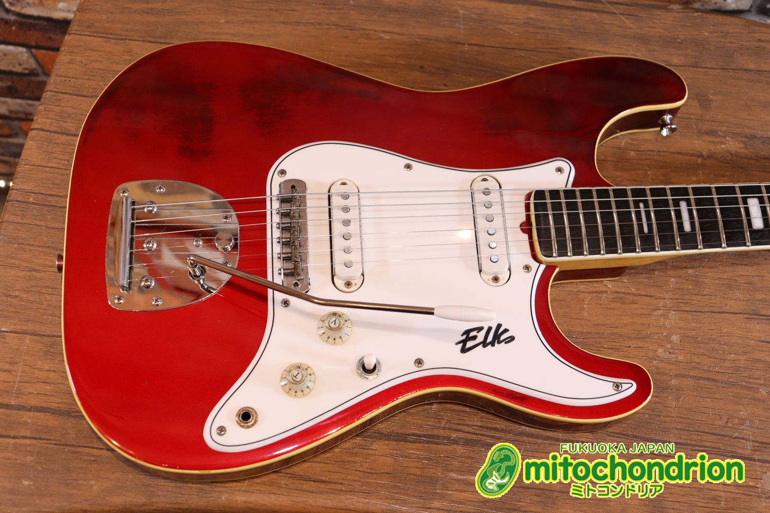 マッチングヘッドのエルク、ワイルドキャットです！